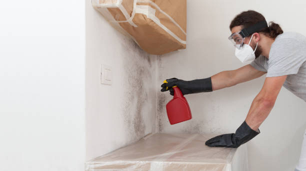 Professional Bathroom Mold Removal technician working in Toughkenamon, PA